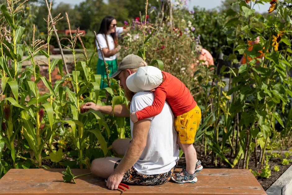 **Alt-text:** A man sitting on a wooden bench in a lush garden examines a corn plant while a young child in a sunhat and bright clothing hugs him from behind. In the background, other people are enjoying the garden, surrounded by tall green plants and colorful flowers. The scene is bright and sunny, suggesting a warm day.