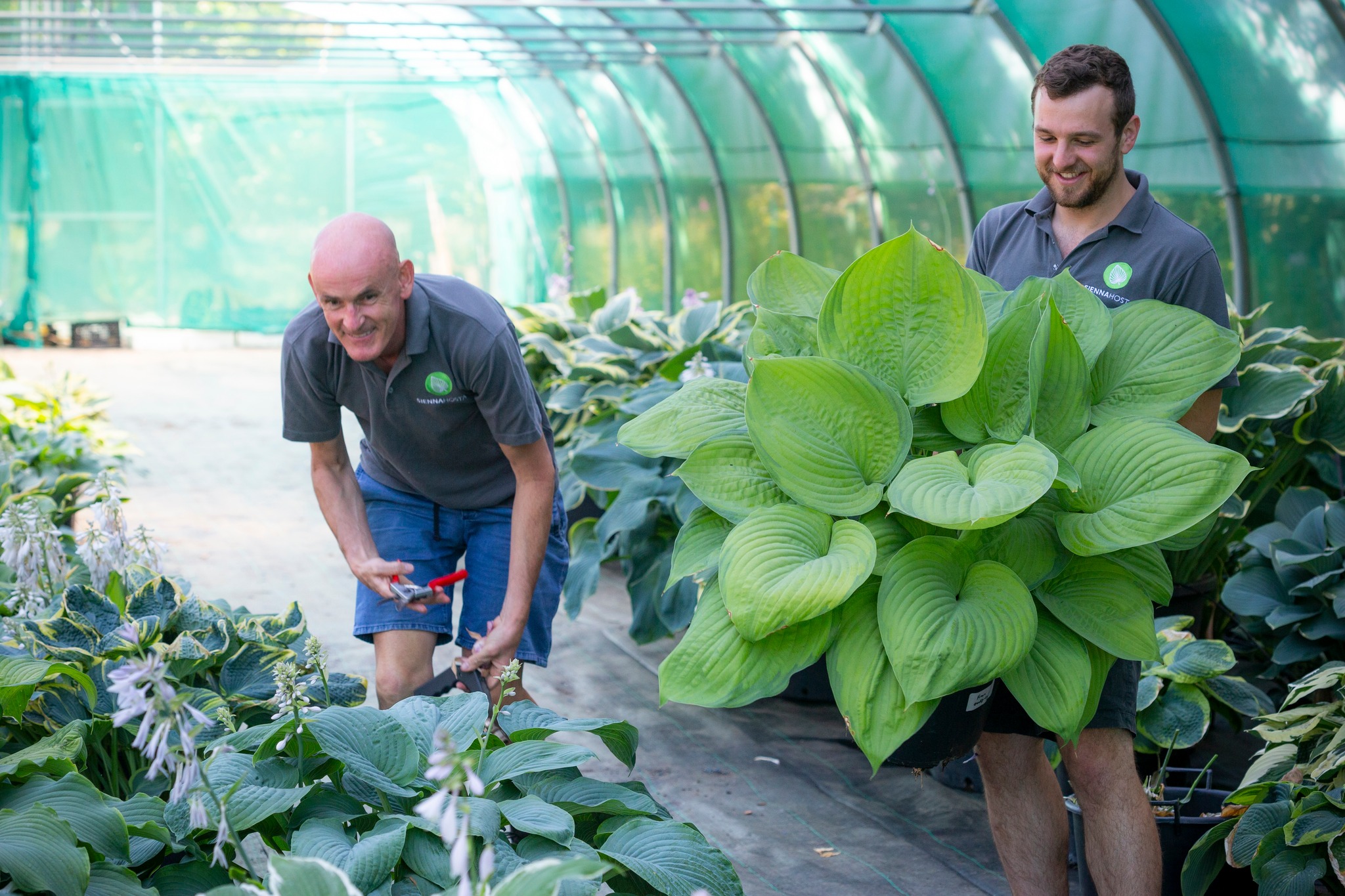 Two men smiling, standing inside a greenhouse surrounded by various plants and vegetables.