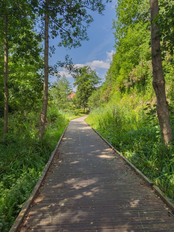 Picture of a wooded walkway surrounded by trees and green aspects