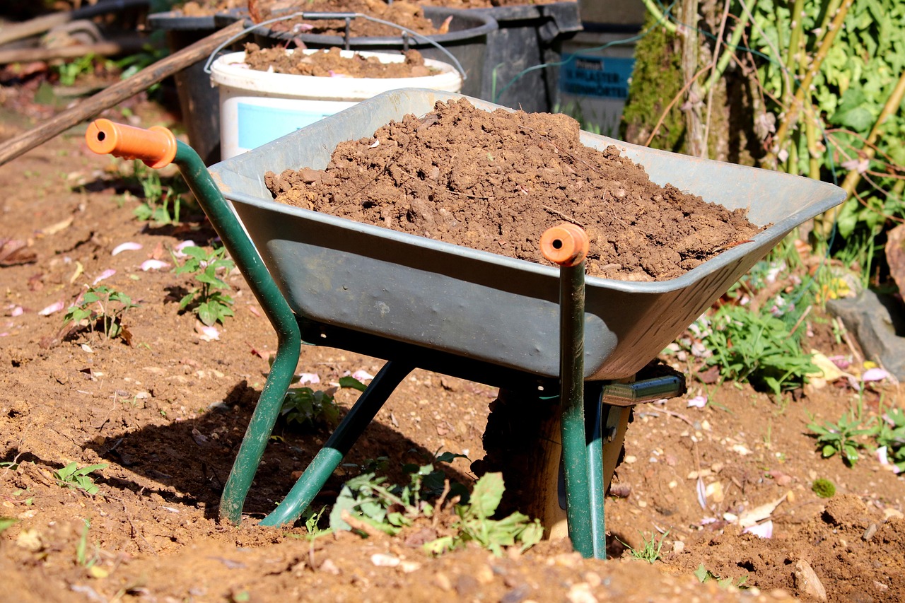 Garden wheelbarrow with mud and shrubs
