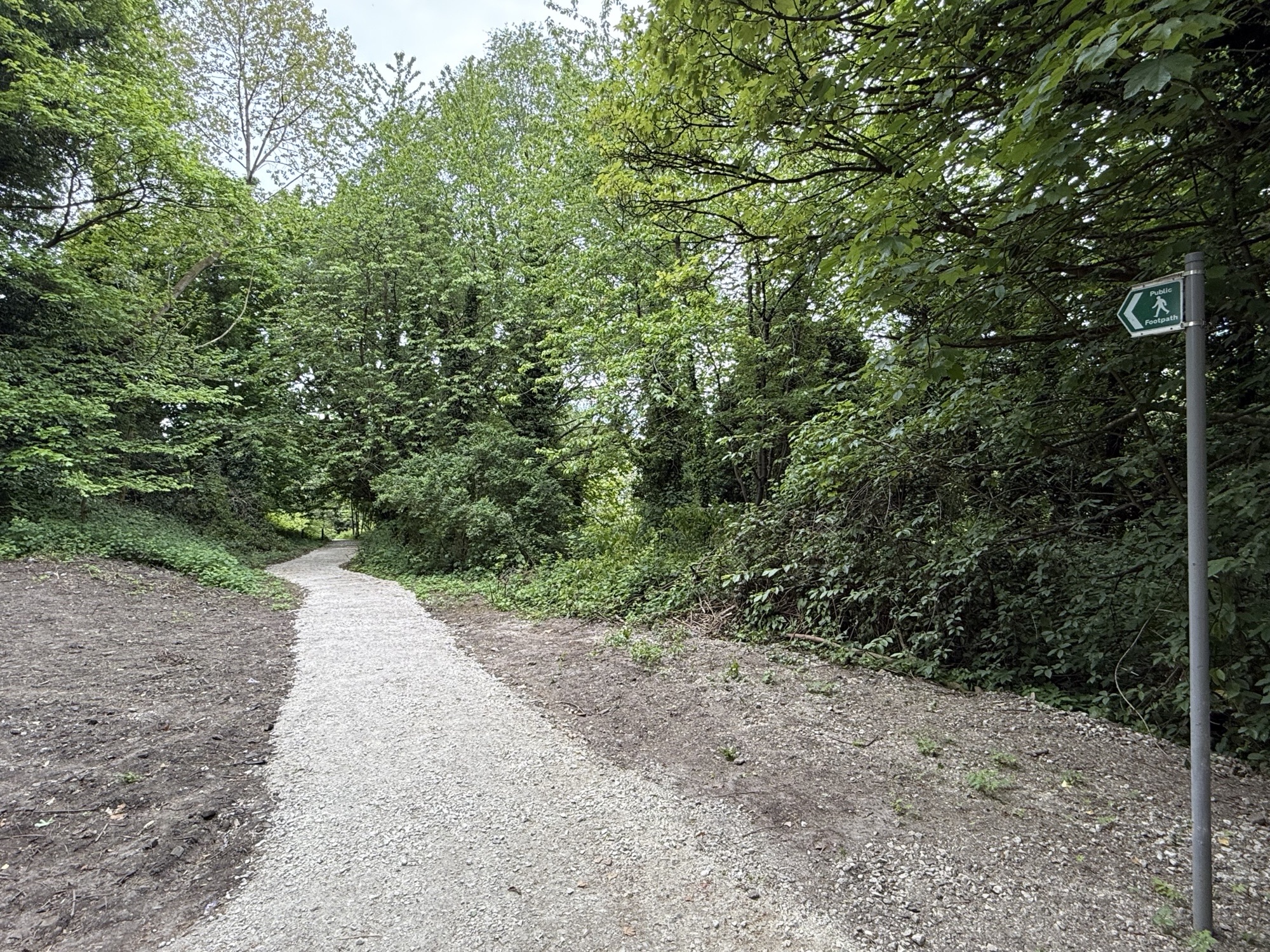 A pathway