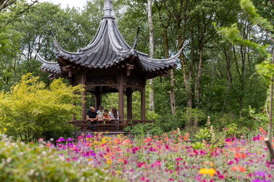 Ornamental pavilion among trees, with visitors seated inside and colourful wildflowers in the foreground.