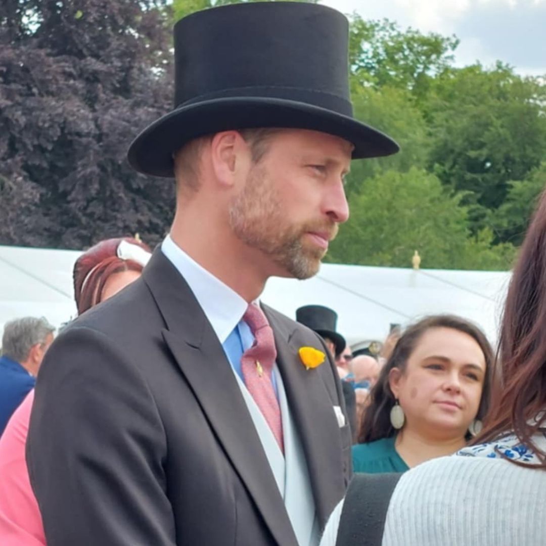 Prince William The Prince of Wales