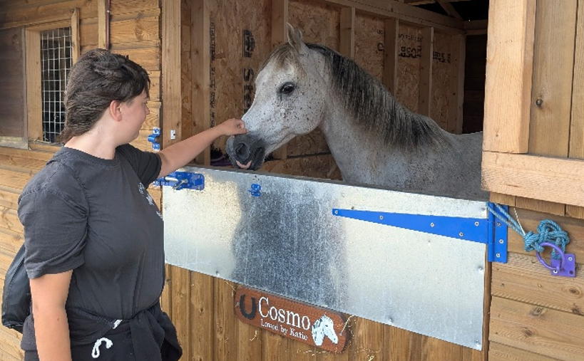 A young woman pets a grey horse in a wooden stable